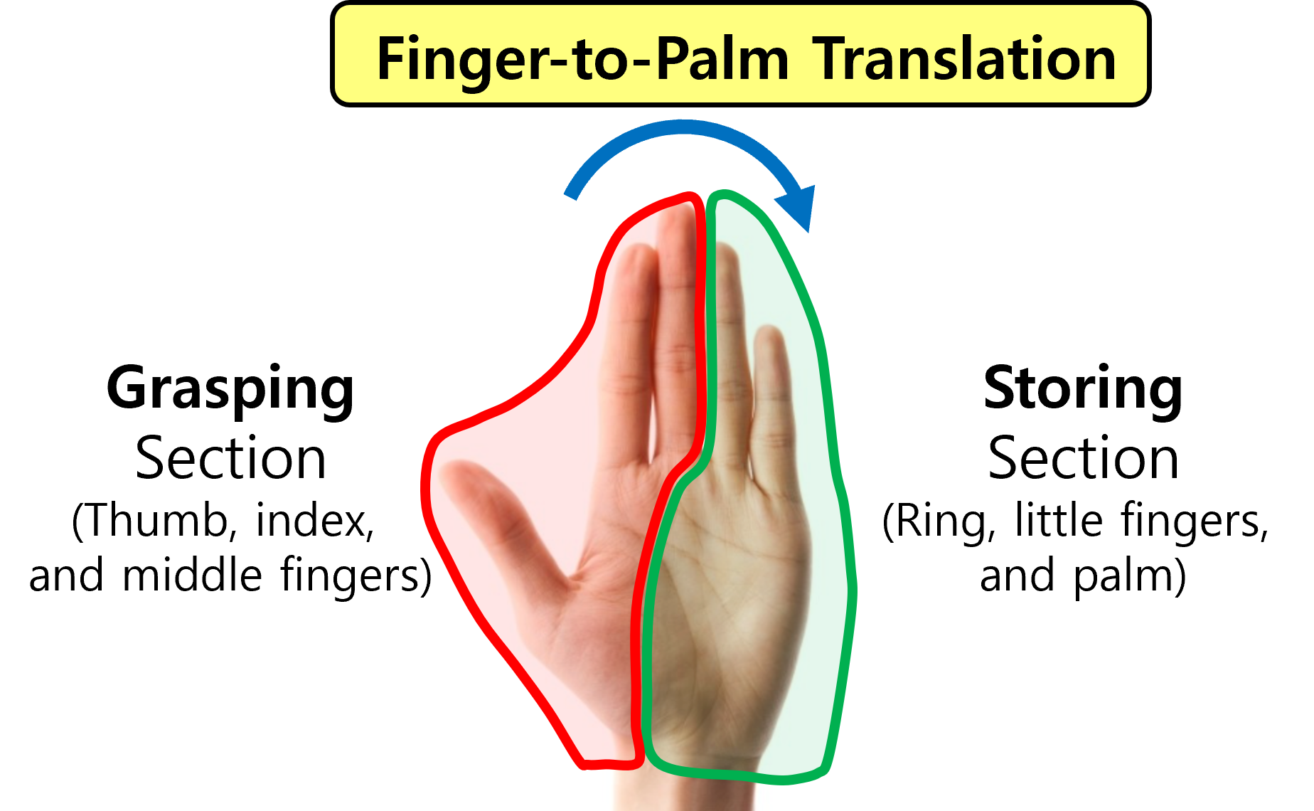 Finger-to-Palm Translation